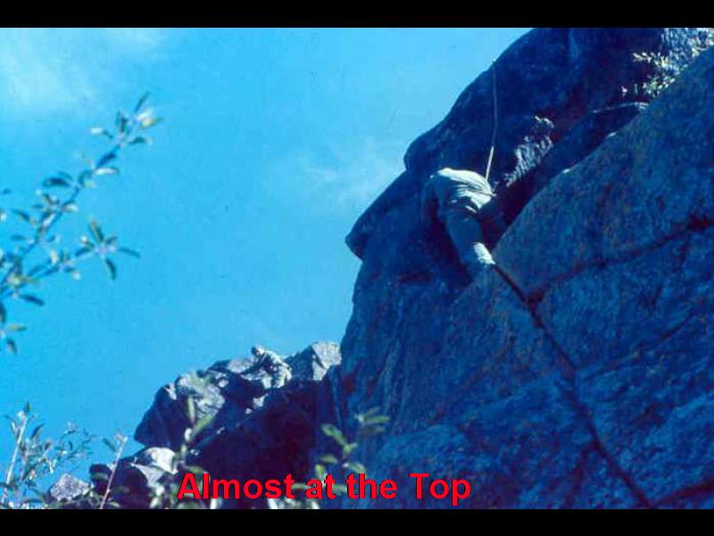 113 (105)